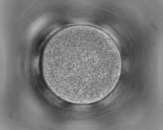 X0000111661150200908141308