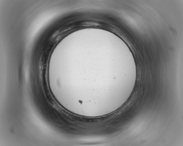 X0000111661151200908141308