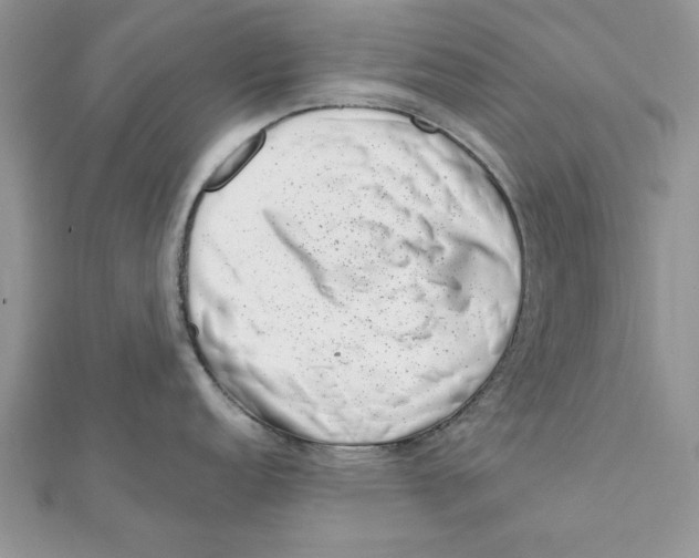 X0000111661152200908141308