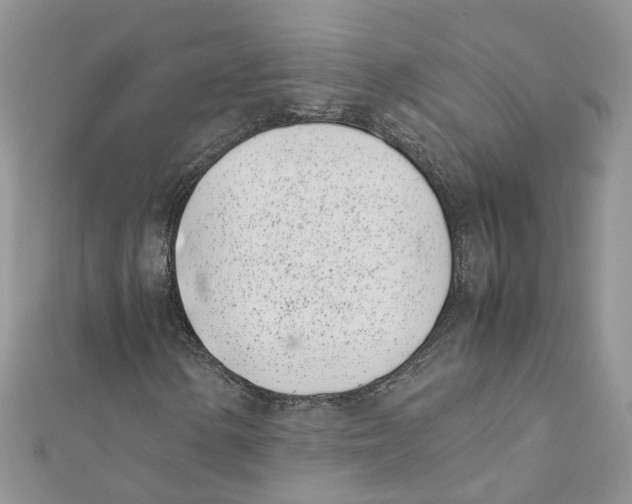 X0000111661154200908141307