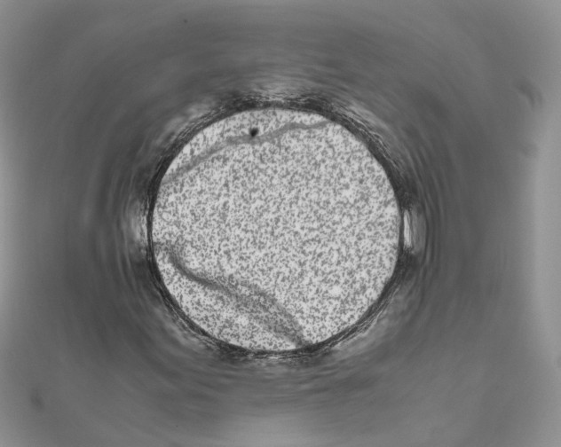 X0000111661155200908141307