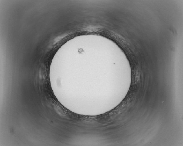 X0000111661158200908141307