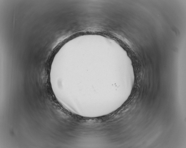 X0000111661160200908141307