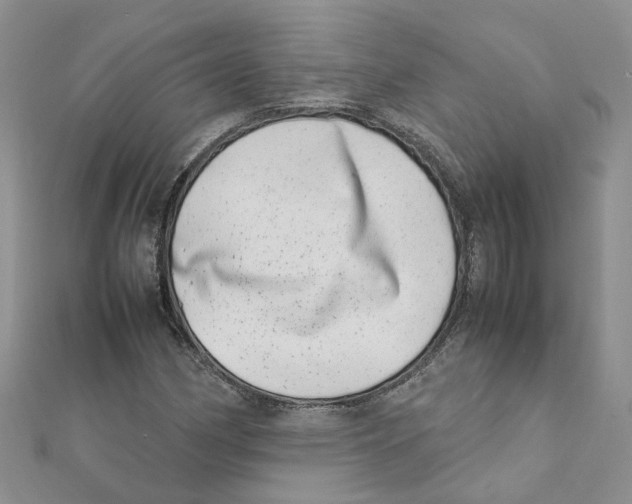 X0000111661162200908141307