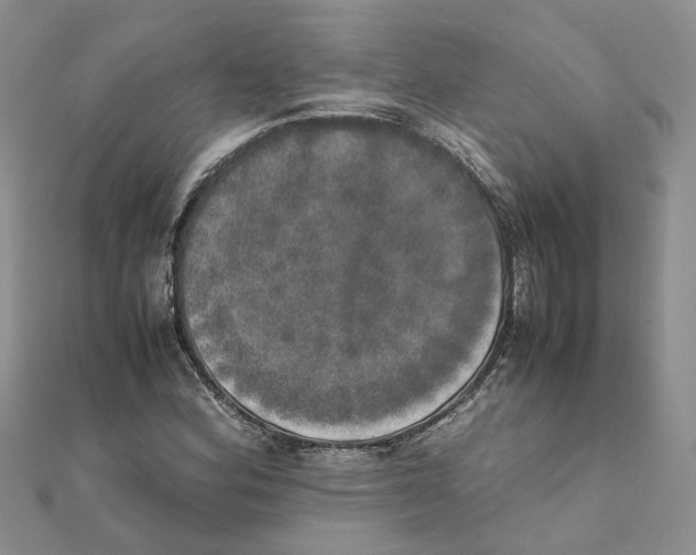 X0000111661164200908141307