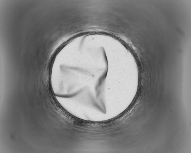 X0000111661167200908141307