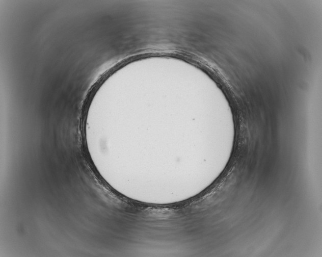 X0000111661168200908141307