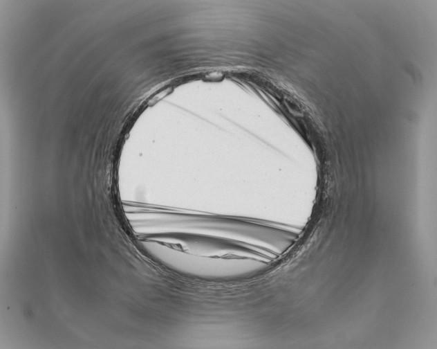 X0000111661169200908141307