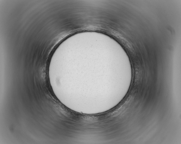 X0000111661170200908141307