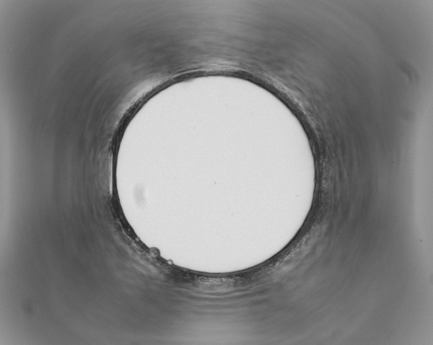 X0000111661171200908141307