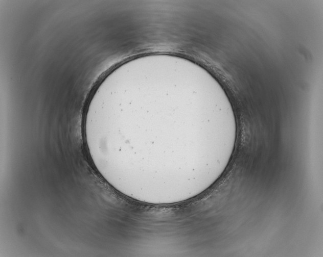 X0000111661174200908141307