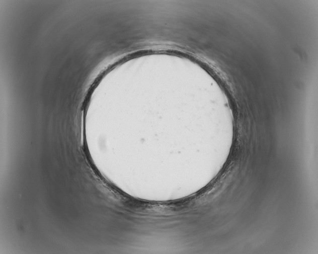 X0000111661175200908141307