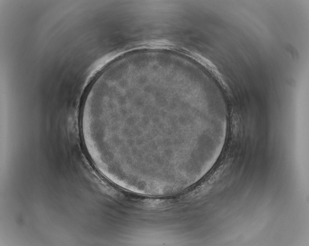 X0000111661176200908141307