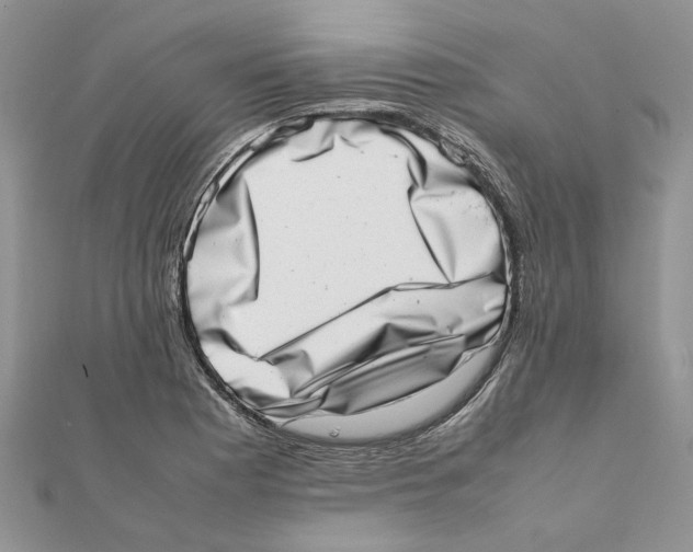 X0000111661177200908141307