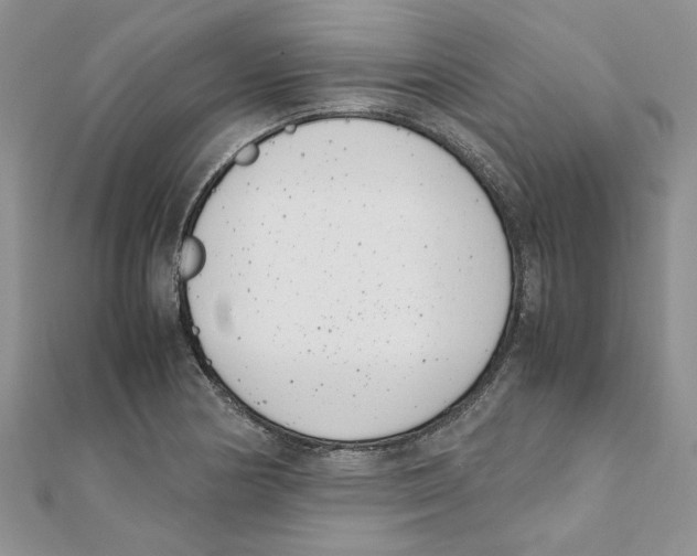 X0000111661178200908141307