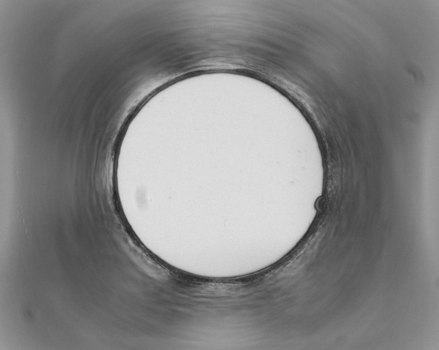 X0000111661179200908141307