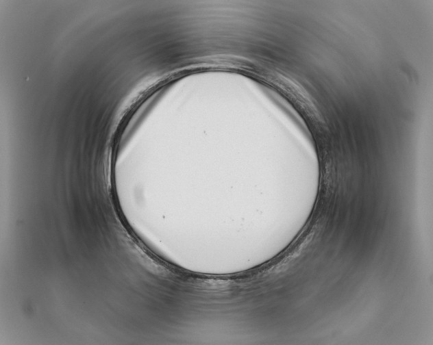 X0000111661180200908141307