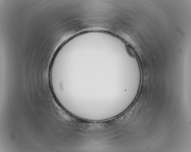 X0000111661181200908141307