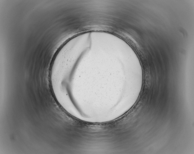 X0000111661182200908141307