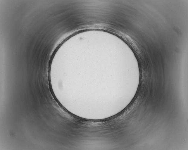 X0000111661184200908141307