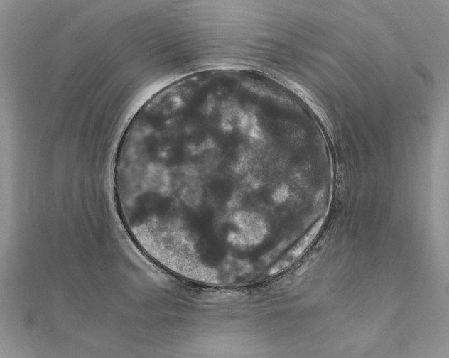 X0000111661187200908141307