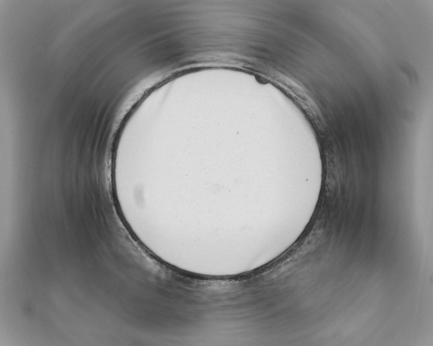 X0000111661188200908141307