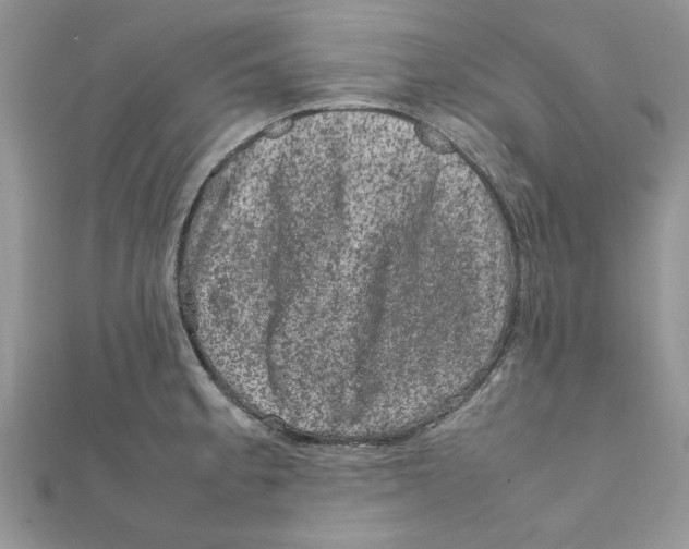 X0000111661189200908141307