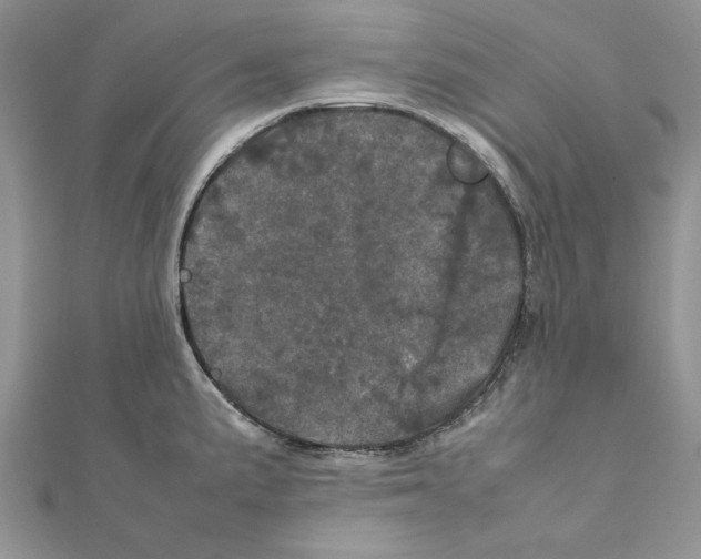 X0000111661191200908141307