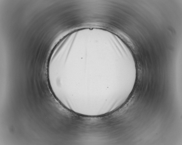 X0000111661192200908141307