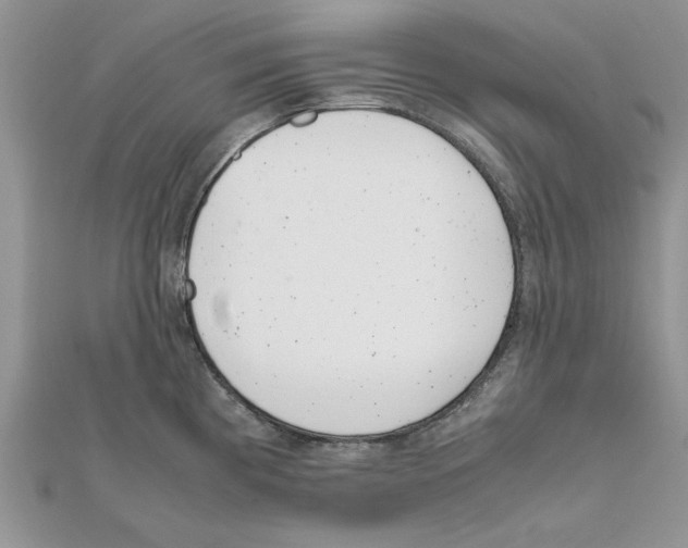 X0000111661193200908141307