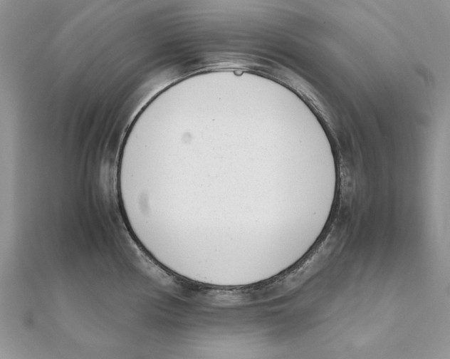 X0000111661194200908141307