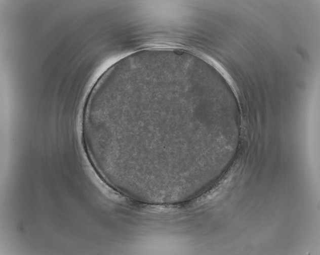 X0000111661195200908141307