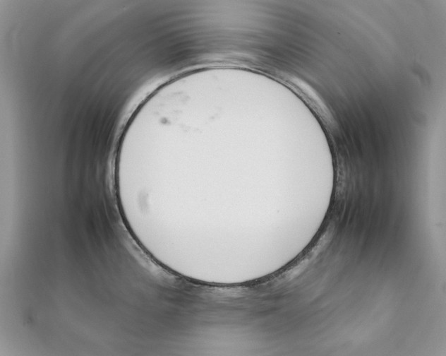 X0000111661196200908141307