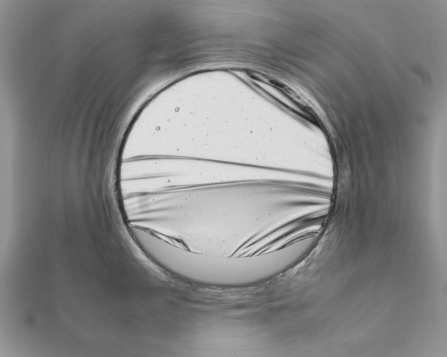 X0000111661197200908141307