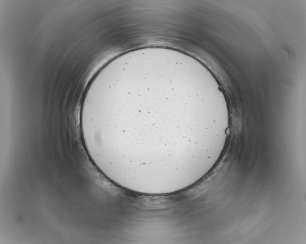 X0000111661198200908141307