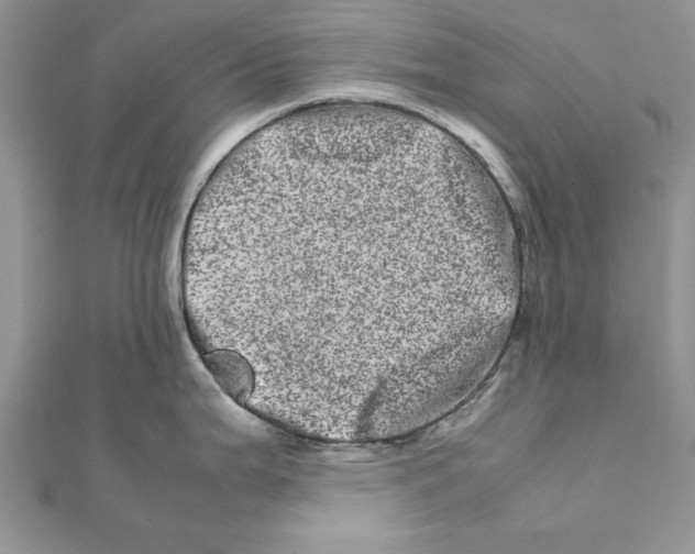 X0000111661199200908141307