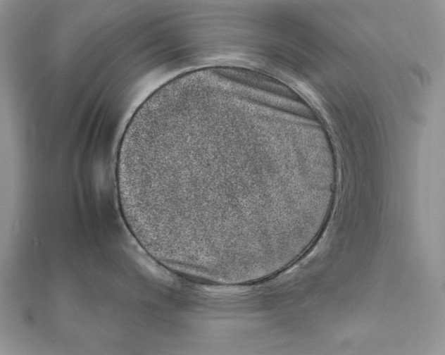 X0000111661200200908141307