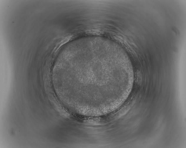 X0000111661201200908141306