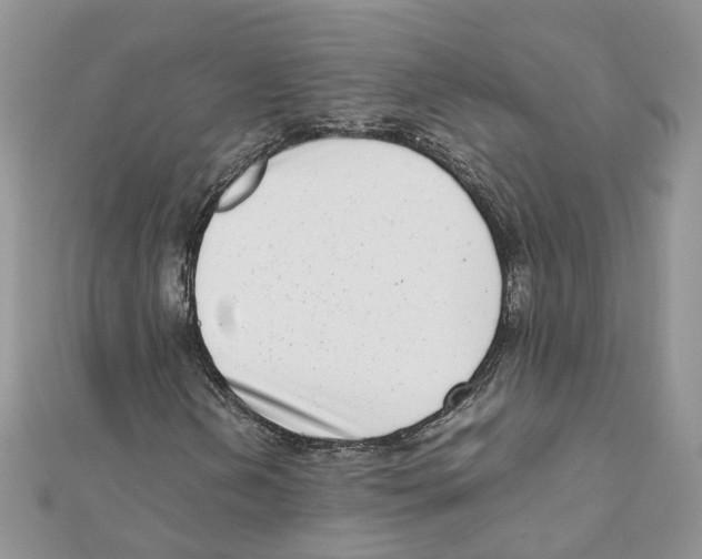 X0000111661202200908141306