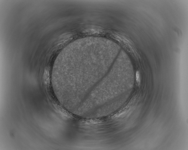 X0000111661203200908141306