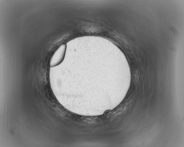 X0000111661205200908141306