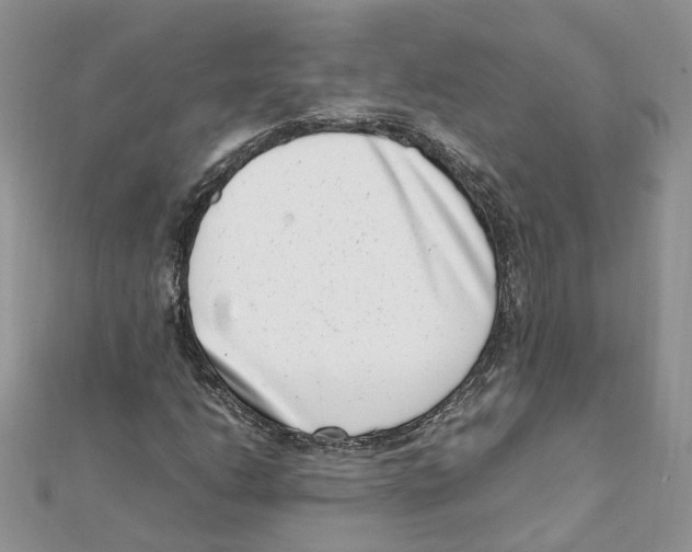 X0000111661206200908141306