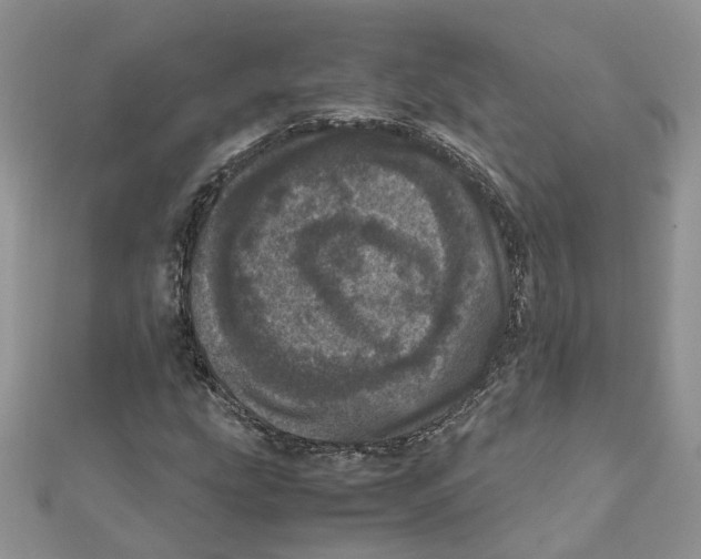 X0000111661207200908141306