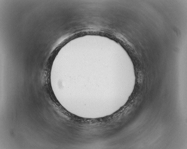 X0000111661208200908141306