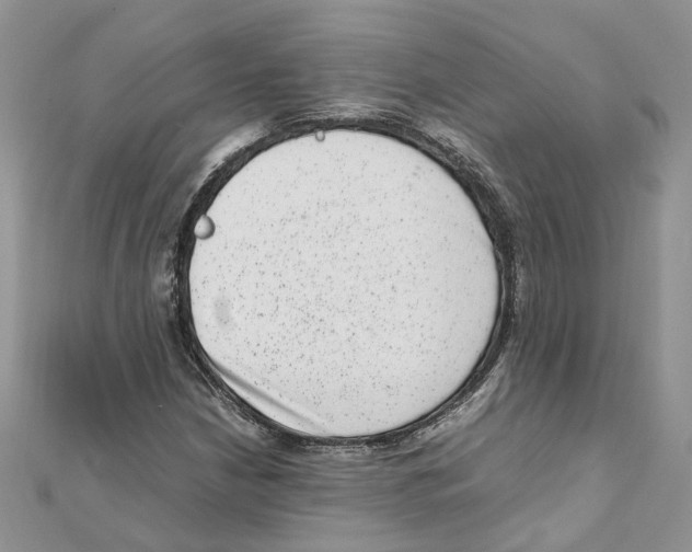 X0000111661210200908141306