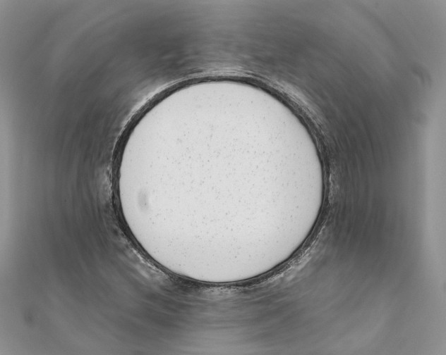 X0000111661212200908141306