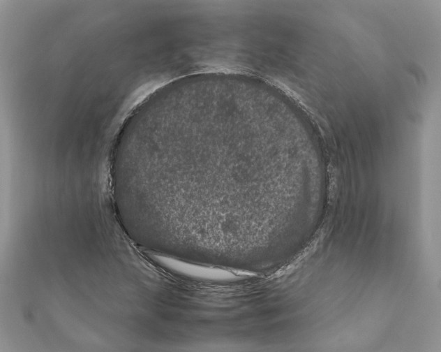 X0000111661215200908141306