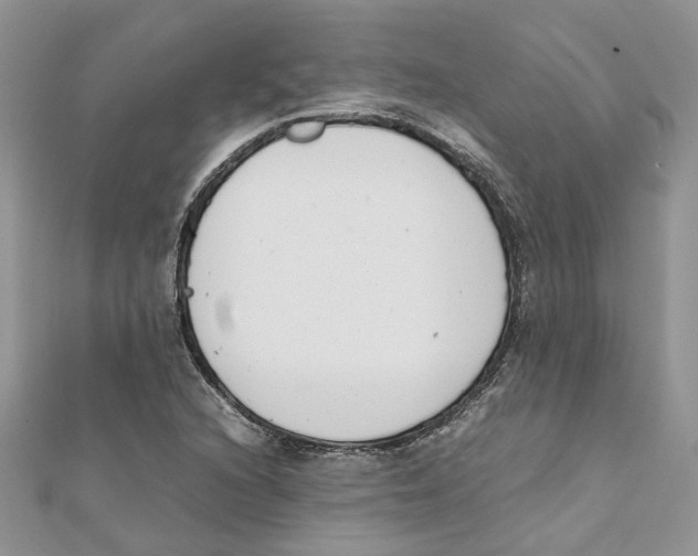 X0000111661216200908141306