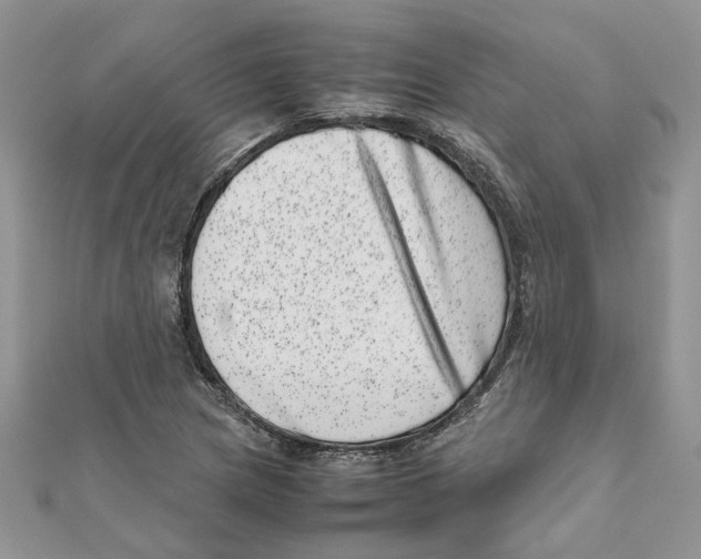 X0000111661217200908141306