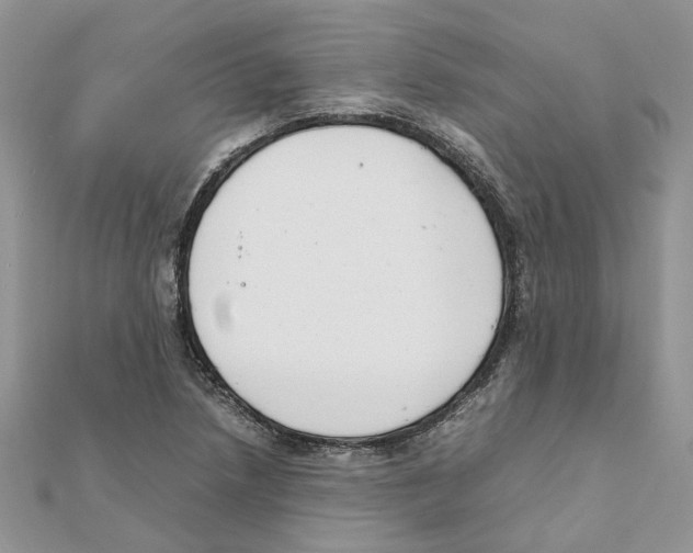 X0000111661218200908141306